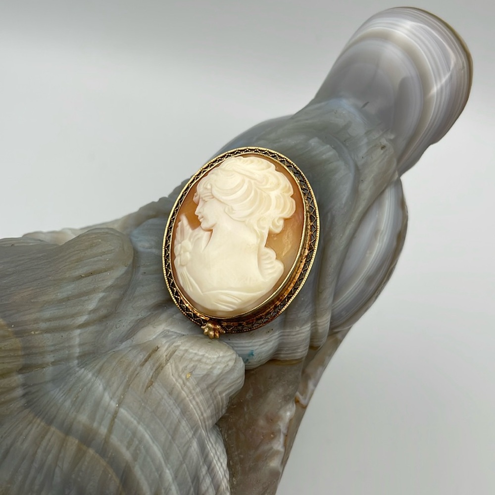 Shell cameo INC 12k Gold filled brooch/ pendant crossover